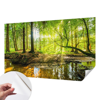 Fototapetas vaikams su žaliu kraštovaizdžiu