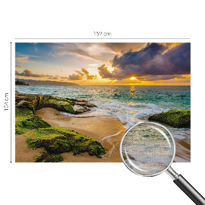 Fototapetai Jūrinė harmonika