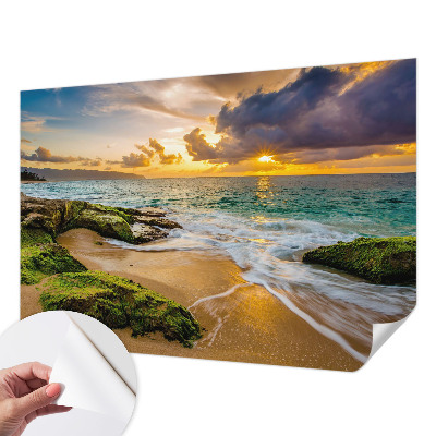 Fototapetai su jūrine harmonija