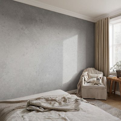 3D fototapetas sienoms Elegantiškas pilkas