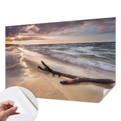 3D fototapetas su Vestštrandeno vaizdu