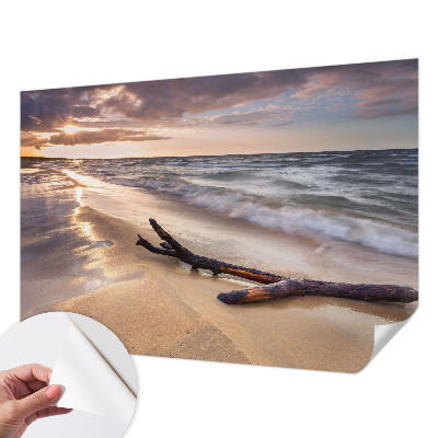 3D fototapetas su Vestštrandeno vaizdu