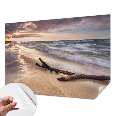 3D fototapetas su Vestštrandeno vaizdu
