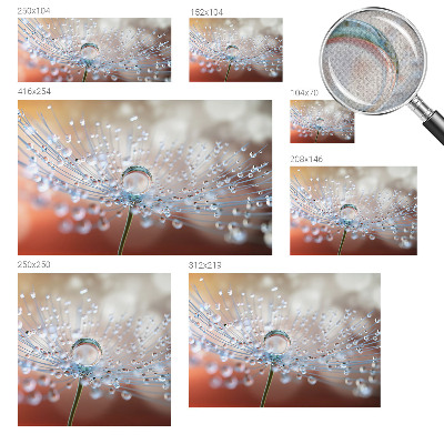 3D fototapetas sienoms En dråbe on en mælkebøtt