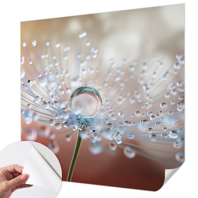 3D fototapetas sienoms su piešiniu „En dråbe on en mælkebøtt“