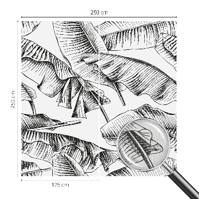 Fototapetas vaikams Bananblade