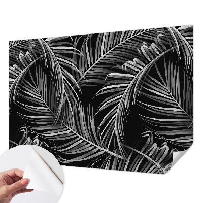 Fototapetai su egzotišku Monstera lapų raštu