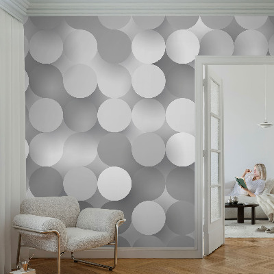 3D fototapetas sienoms Grå circler
