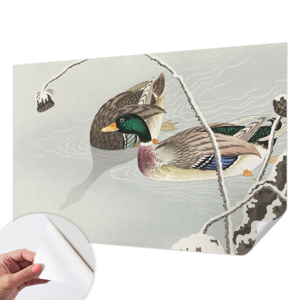 3D fototapetas sienoms Rolige ænder