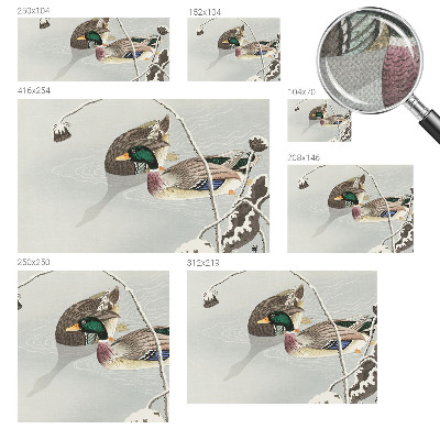 3D fototapetas sienoms Rolige ænder