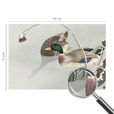 3D fototapetas sienoms Rolige ænder