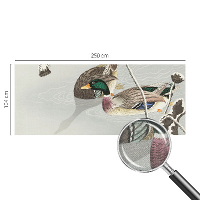 3D fototapetas sienoms Rolige ænder