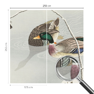 3D fototapetas sienoms Rolige ænder