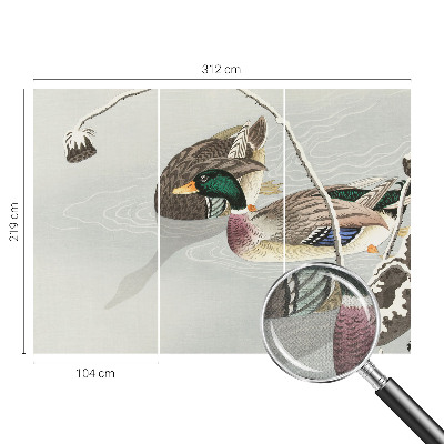 3D fototapetas sienoms Rolige ænder