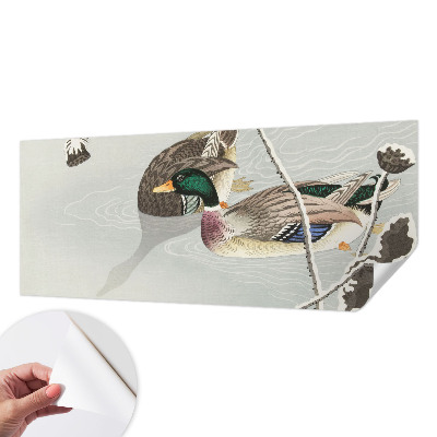 3D fototapetas sienoms Rolige ænder