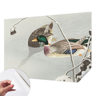 3D fototapetas sienoms Rolige ænder