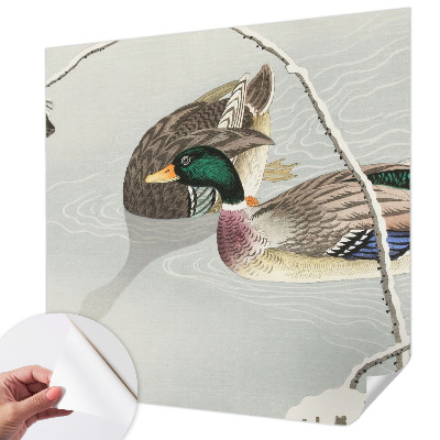 3D fototapetas sienoms Rolige ænder