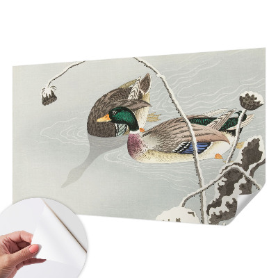 3D fototapetas sienoms Rolige ænder