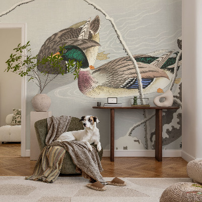 3D fototapetas sienoms Rolige ænder