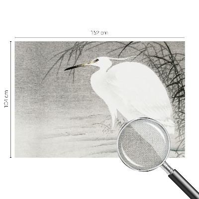 3D fototapetas sienoms Vandlandskabas