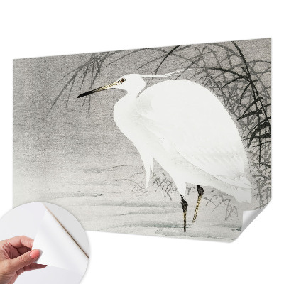 3D fototapetas sienoms Vandlandskabas