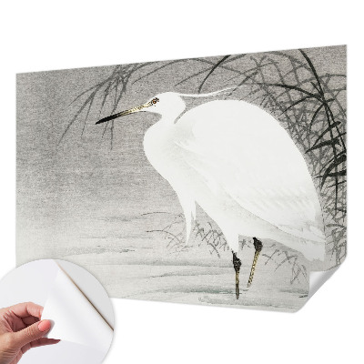 3D fototapetas sienoms Vandlandskabas