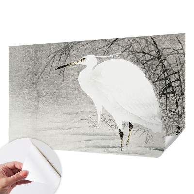 3D fototapetas sienoms Vandlandskabas