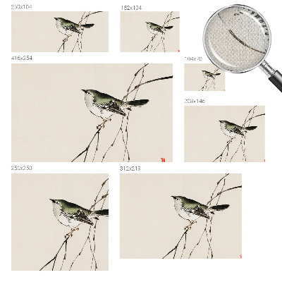 Savaime lipnus fototapetas Harmonisk fugl