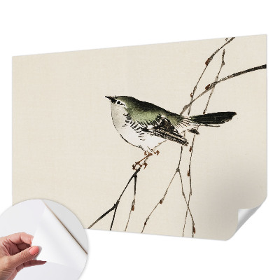 Savaime lipnus fototapetas Harmonisk fugl