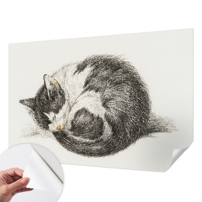 3D fototapetas sienoms su „Yndigo“ žudymo motyvu