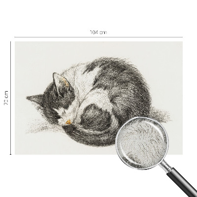 3D fototapetas sienoms Yndigo žudymas