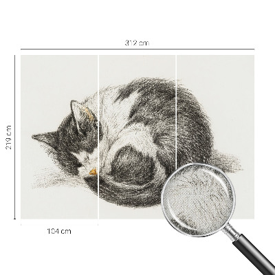 3D fototapetas sienoms Yndigo žudymas