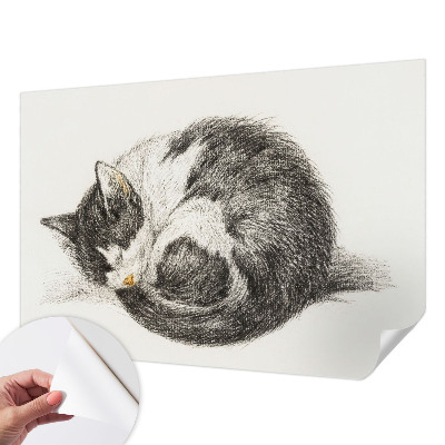 3D fototapetas sienoms su „Yndigo“ žudymo motyvu