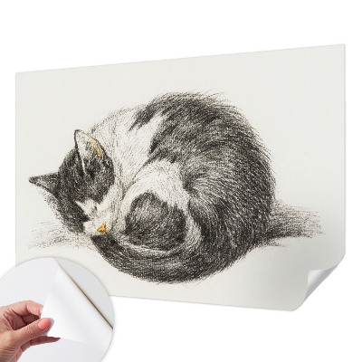 3D fototapetas sienoms su „Yndigo“ žudymo motyvu