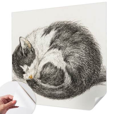 3D fototapetas sienoms Yndigo žudymas