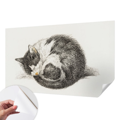 3D fototapetas sienoms su „Yndigo“ žudymo motyvu