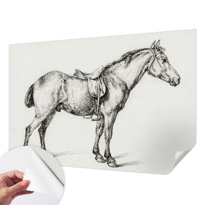 Fototapetas vaiko kambariui Skitse af en hest