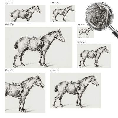 Fototapetas vaiko kambariui Skitse af en hest