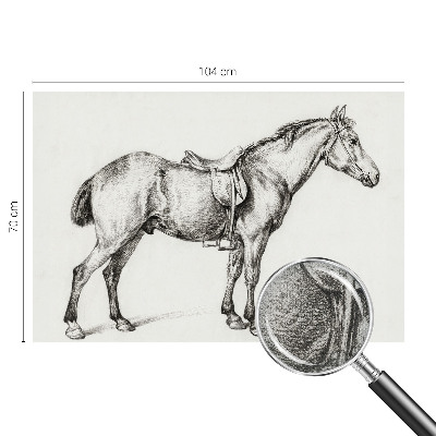 Fototapetas vaiko kambariui Skitse af en hest