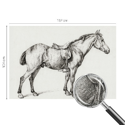 Fototapetas vaiko kambariui Skitse af en hest