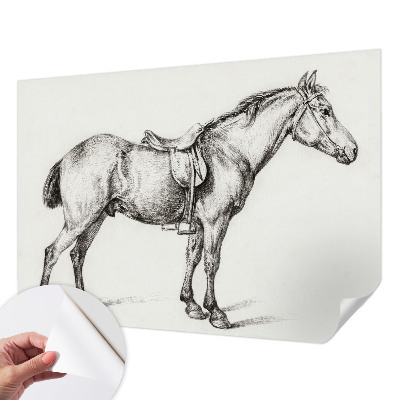 Fototapetas vaiko kambariui Skitse af en hest
