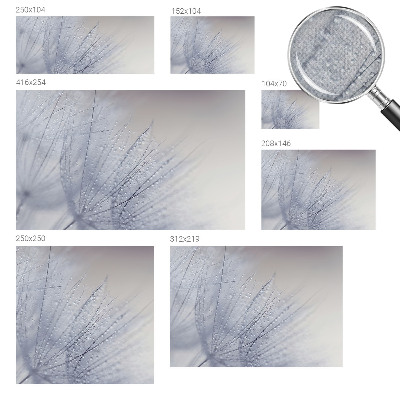 Savaime lipnus fototapetas Dugfrisk mælkebøtte