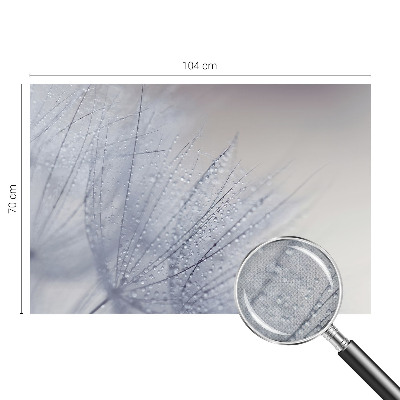 Savaime lipnus fototapetas Dugfrisk mælkebøtte