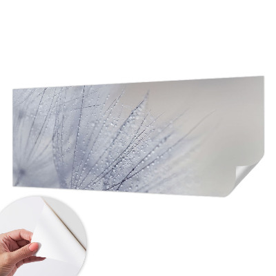 Savaime lipnus fototapetas Dugfrisk mælkebøtte