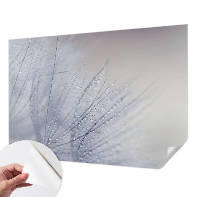 Savaime lipnus fototapetas Dugfrisk mælkebøtte