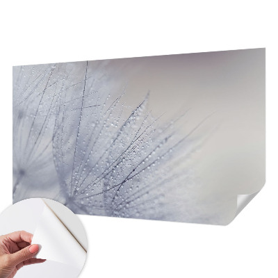 Savaime lipnus fototapetas Dugfrisk mælkebøtte