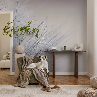 Savaime lipnus fototapetas Dugfrisk mælkebøtte