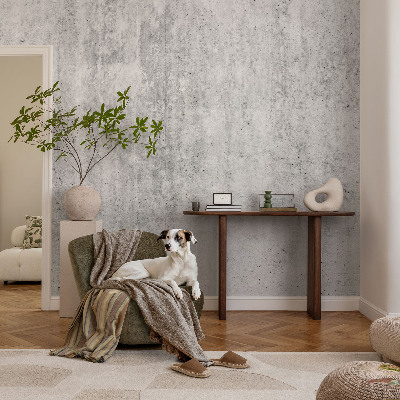 3D fototapetas sienoms Betonvæg