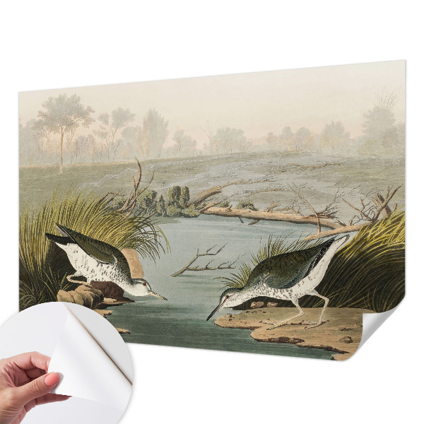 Tapetai Ir laisvas kraštovaizdis