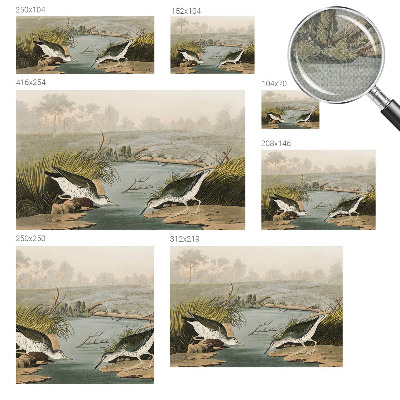 Tapetai Ir laisvas kraštovaizdis